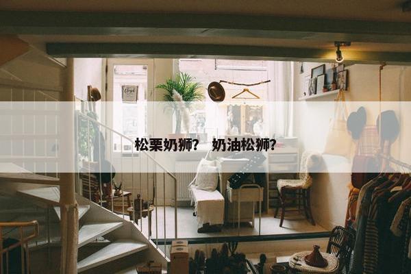 松栗奶狮？ 奶油松狮？