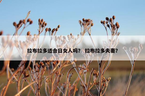 拉布拉多适合日女人吗？ 拉布拉多夫妻？