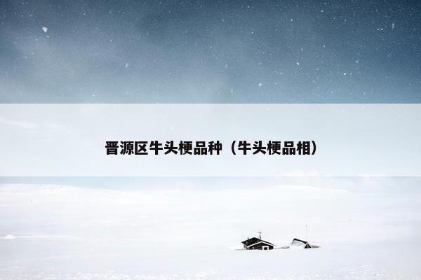 晋源区牛头梗品种（牛头梗品相）