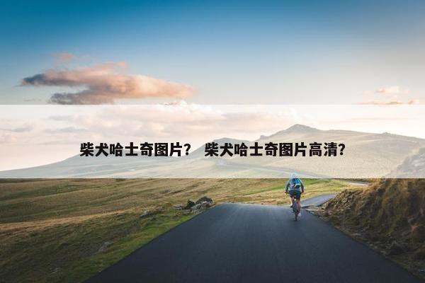 柴犬哈士奇图片？ 柴犬哈士奇图片高清？