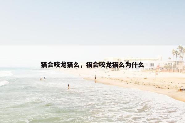 猫会咬龙猫么，猫会咬龙猫么为什么