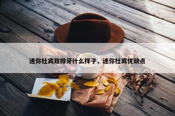 迷你杜宾双排牙什么样子，迷你杜宾优缺点