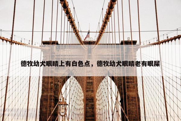 德牧幼犬眼睛上有白色点，德牧幼犬眼睛老有眼屎