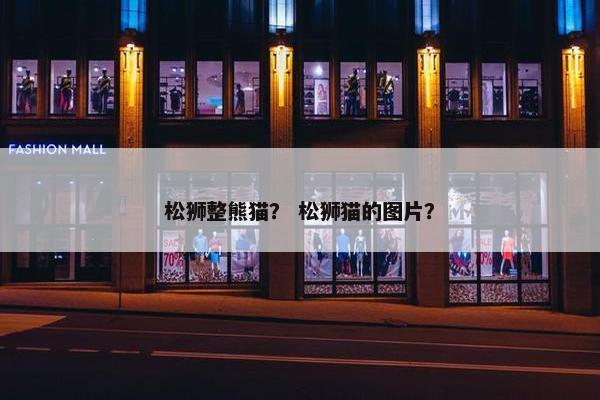 松狮整熊猫？ 松狮猫的图片？