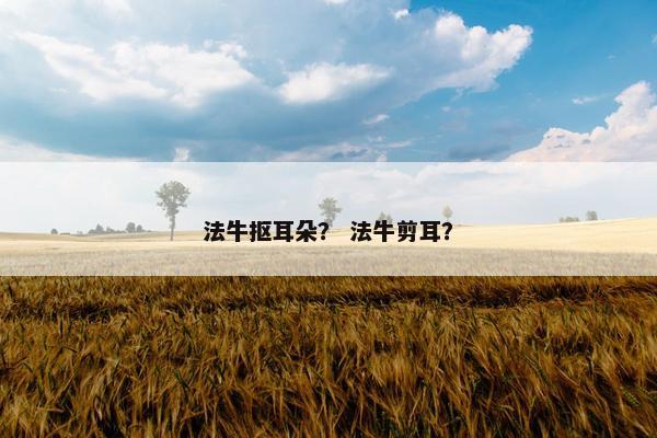 法牛抠耳朵？ 法牛剪耳？