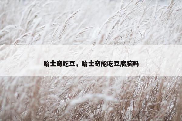 哈士奇吃豆，哈士奇能吃豆腐脑吗