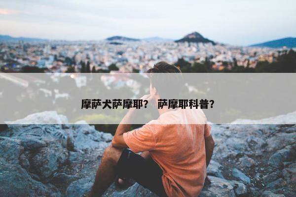 摩萨犬萨摩耶？ 萨摩耶科普？