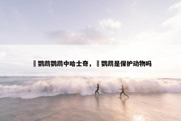 鸮鹦鹉鹦鹉中哈士奇，鸮鹦鹉是保护动物吗