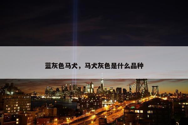 蓝灰色马犬，马犬灰色是什么品种