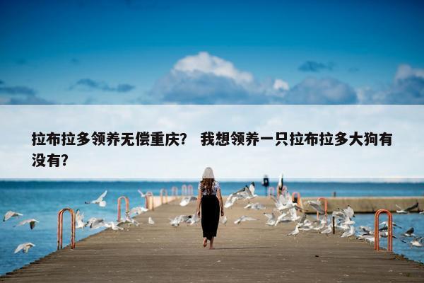 拉布拉多领养无偿重庆？ 我想领养一只拉布拉多大狗有没有？