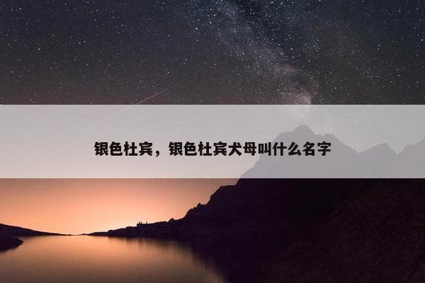 银色杜宾，银色杜宾犬母叫什么名字