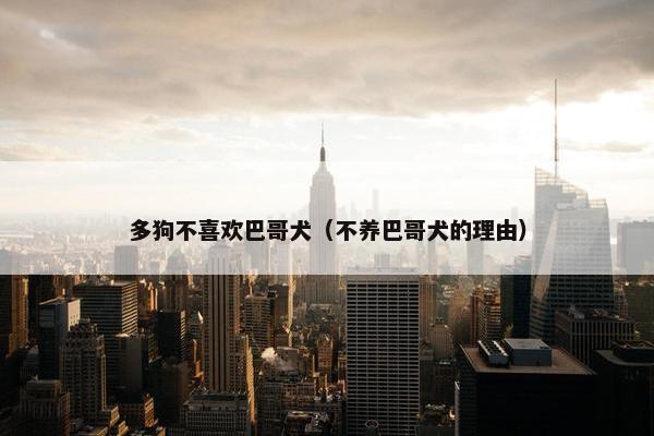 多狗不喜欢巴哥犬（不养巴哥犬的理由）
