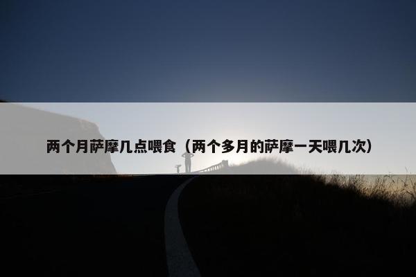 两个月萨摩几点喂食（两个多月的萨摩一天喂几次）