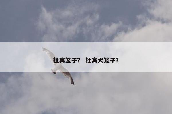 杜宾笼子？ 杜宾犬笼子？