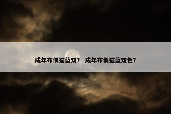 成年布偶猫蓝双？ 成年布偶猫蓝双色？