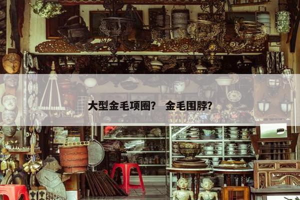 大型金毛项圈？ 金毛围脖？