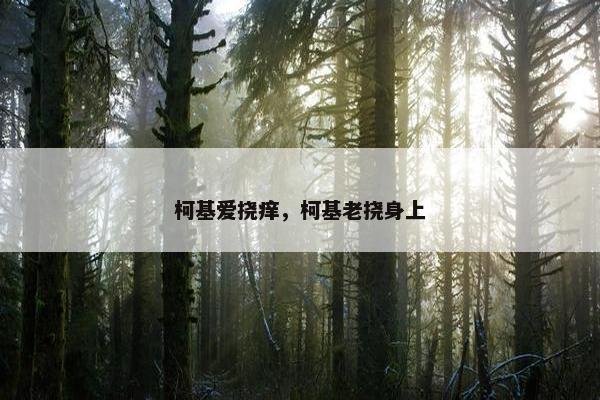 柯基爱挠痒，柯基老挠身上