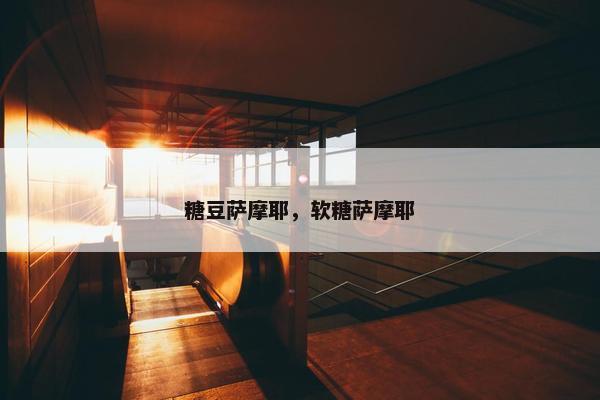 糖豆萨摩耶，软糖萨摩耶