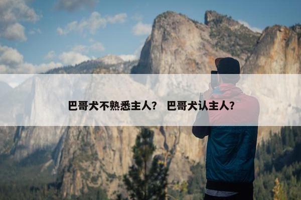 巴哥犬不熟悉主人？ 巴哥犬认主人？