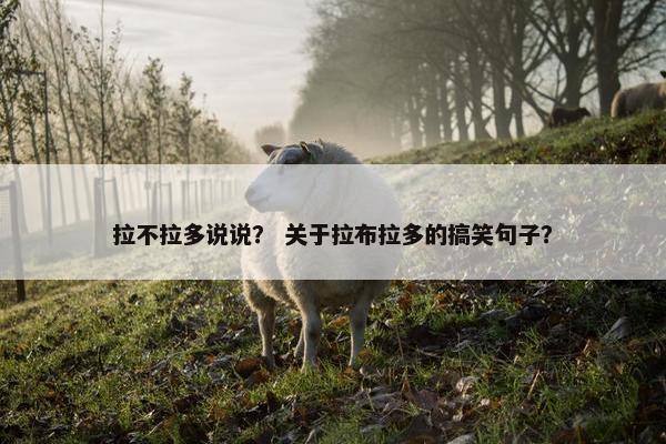 拉不拉多说说？ 关于拉布拉多的搞笑句子？