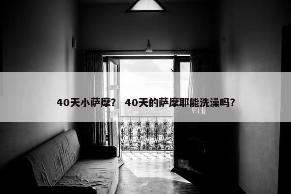 40天小萨摩？ 40天的萨摩耶能洗澡吗？