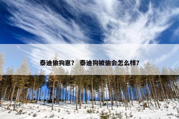 泰迪偷狗崽？ 泰迪狗被偷会怎么样？