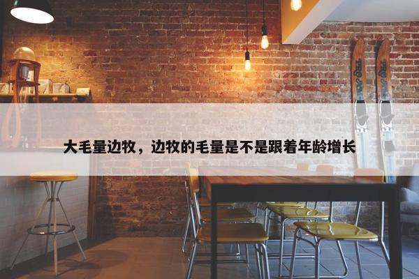 大毛量边牧，边牧的毛量是不是跟着年龄增长
