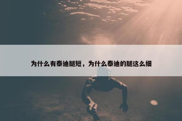 为什么有泰迪腿短，为什么泰迪的腿这么细