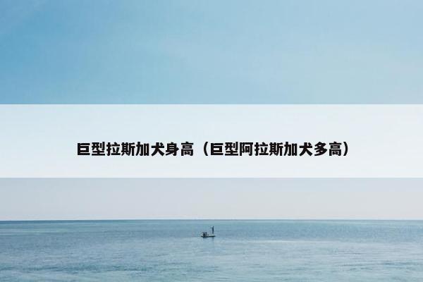 巨型拉斯加犬身高（巨型阿拉斯加犬多高）