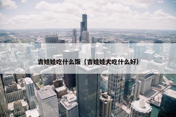 吉娃娃吃什么饭（吉娃娃犬吃什么好）