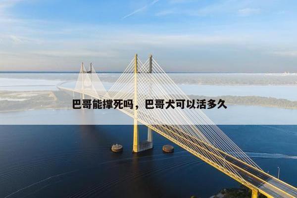 巴哥能撑死吗，巴哥犬可以活多久