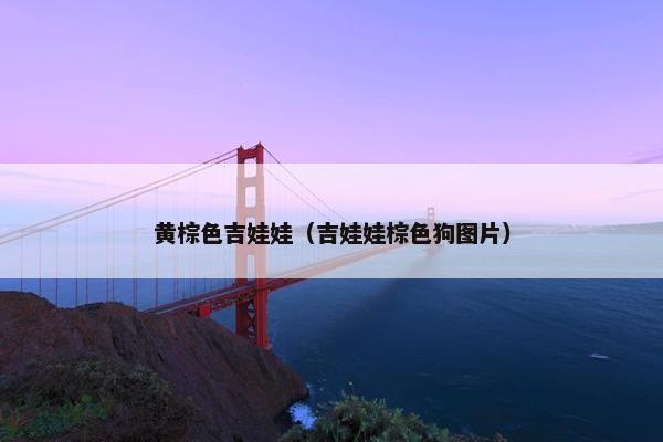 黄棕色吉娃娃（吉娃娃棕色狗图片）