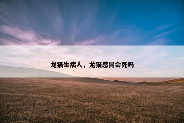 龙猫生病人，龙猫感冒会死吗