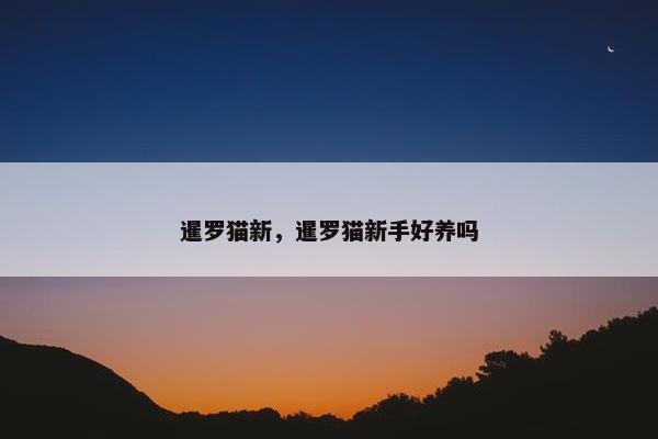 暹罗猫新，暹罗猫新手好养吗
