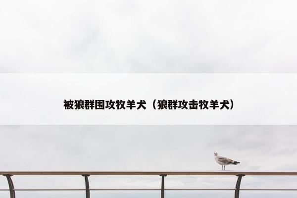 被狼群围攻牧羊犬（狼群攻击牧羊犬）