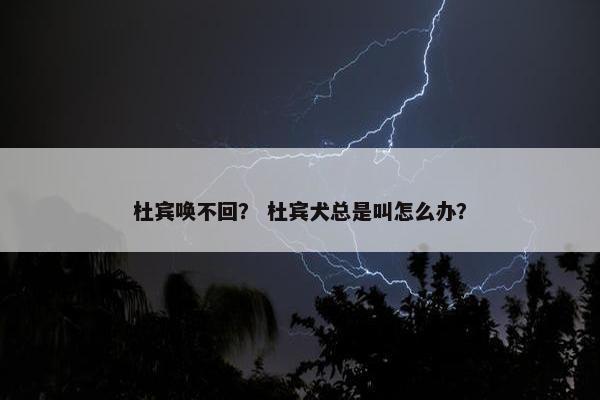 杜宾唤不回？ 杜宾犬总是叫怎么办？