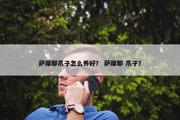 萨摩耶爪子怎么养好？ 萨摩耶 爪子？