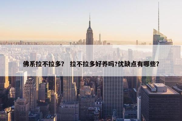 佛系拉不拉多? 拉不拉多好养吗?优缺点有哪些? 佛系拉不拉多? 拉不拉多好养吗?优缺点有哪些?