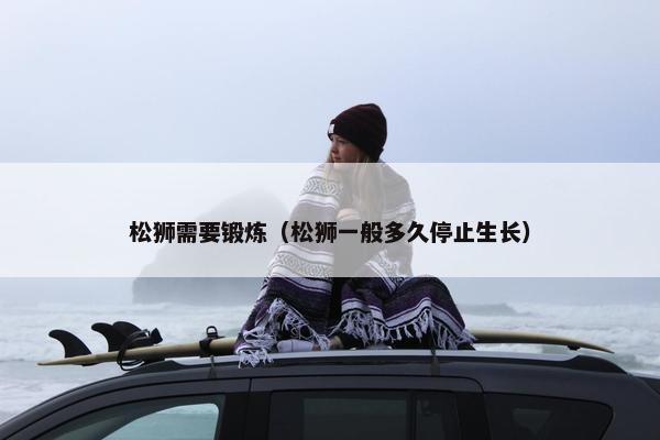 松狮需要锻炼(松狮一般多久停止生长) 松狮需要锻炼(松狮一般多久停止生长)