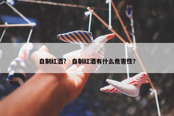 自制红酒？ 自制红酒有什么危害性？