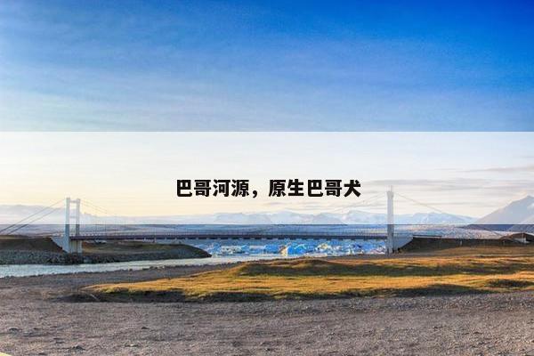 巴哥河源，原生巴哥犬