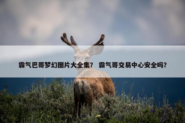 霸气巴哥梦幻图片大全集？ 霸气哥交易中心安全吗？