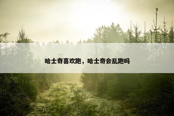 哈士奇喜欢跑，哈士奇会乱跑吗