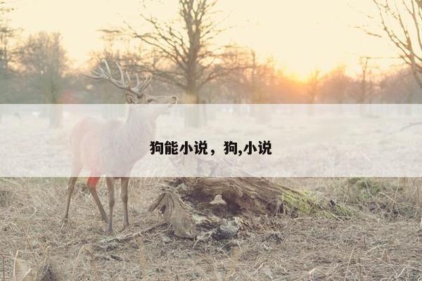狗能小说，狗,小说