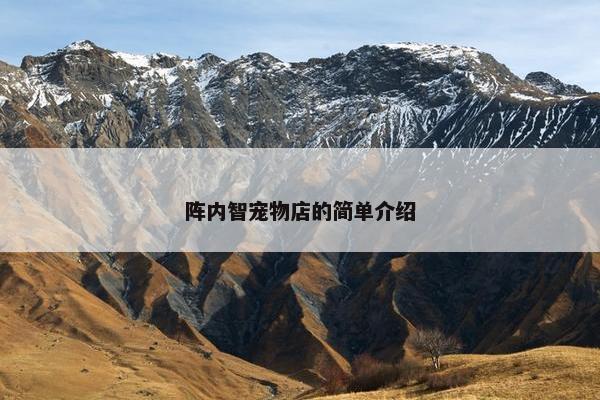 阵内智宠物店的简单介绍