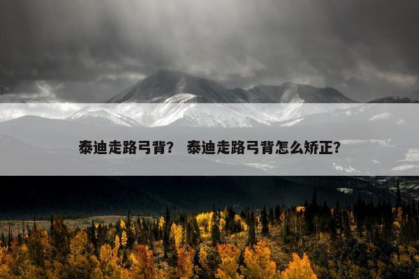 泰迪走路弓背？ 泰迪走路弓背怎么矫正？