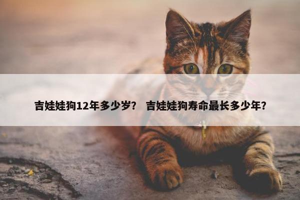 吉娃娃狗12年多少岁？ 吉娃娃狗寿命最长多少年？