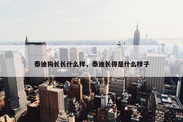 泰迪狗长长什么样,泰迪长得是什么样子 泰迪狗长长什么样,泰迪长得是什么样子