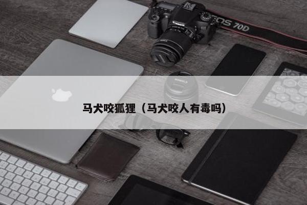 马犬咬狐狸（马犬咬人有毒吗）