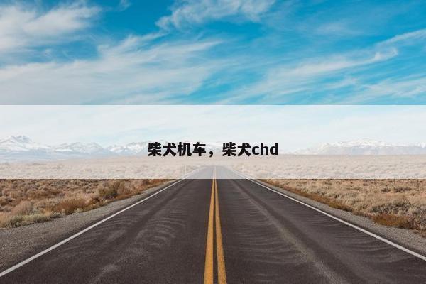 柴犬机车，柴犬chd